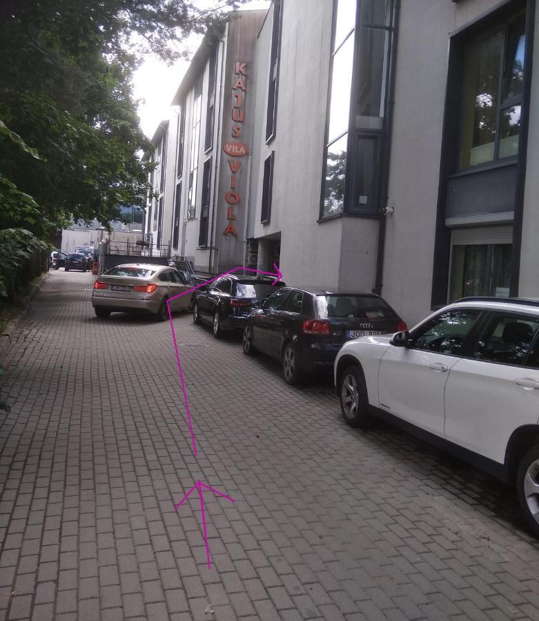Apartament S.Neries Butas Połąga Zewnętrze zdjęcie